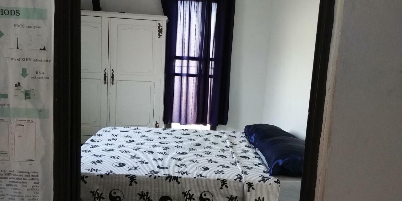 Casa Para Temporada E Diaria بيلو هورزونتي المظهر الخارجي الصورة